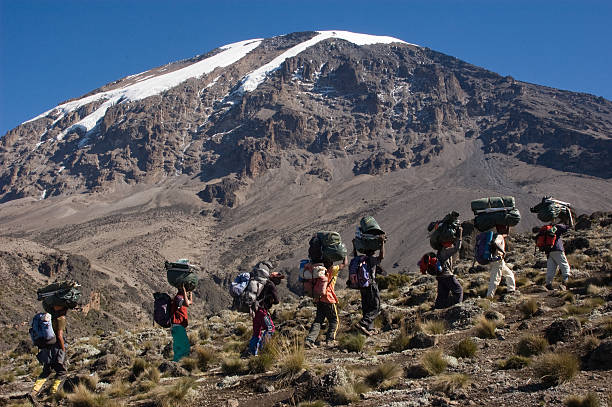 Kilimanjaro Group Joining 7 Days Lemosho Route, Best Prices  2026